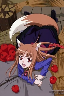Poster for anime Spice and Wolf II Specials