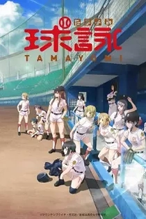 Poster for anime TAMAYOMI: The Baseball Girls
