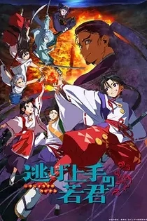 Poster for anime The Elusive Samurai