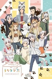 Poster for anime Uchitama?! Have you seen my Tama?