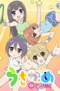 Poster for anime Usakame