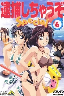 Poster for anime You're Under Arrest: Diverting Traffic at the Beach