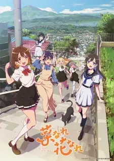Poster for anime Narenare -Cheer for You!-
