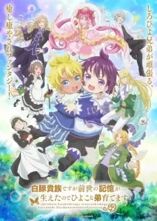 Poster for anime Shirohiyo - Reincarnated as a Neglected Noble: Raising My Baby Brother With Memories From My Past Life