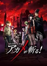 Poster for anime Akame ga Kill!