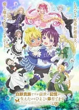 Poster for anime Shirohiyo - Reincarnated as a Neglected Noble: Raising My Baby Brother With Memories From My Past Life