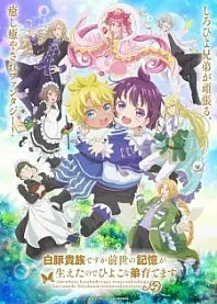 Poster for anime Shirohiyo - Reincarnated as a Neglected Noble: Raising My Baby Brother With Memories From My Past Life