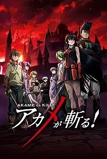 Poster for anime Akame ga Kill!