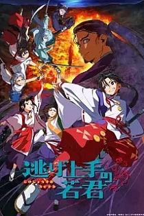 Poster for anime The Elusive Samurai